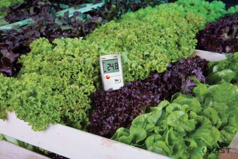 Datalogger teploty Testo 174 T s USB