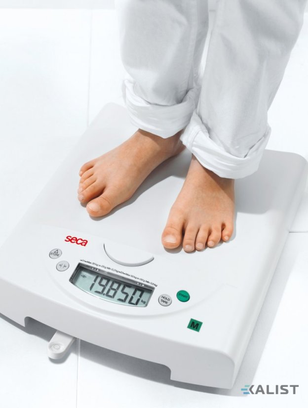 Seca 384 baby scale