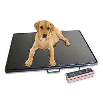 Veterinary scales