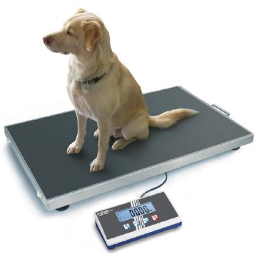 Veterinary scales KERN
