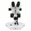Stereo zoom mikroskop KERN OZL 445