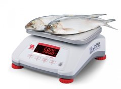 Můstková gastro váha OHAUS VALOR™ 4000 plastová ověřitelná