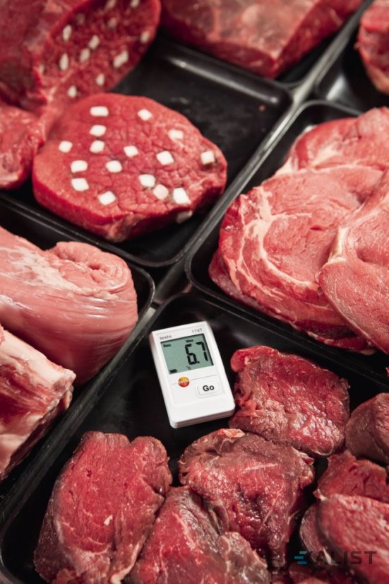 Datalogger teploty Testo 174 T s USB