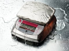 OHAUS Valor™ 3000 Gastronomic Bridge Scale